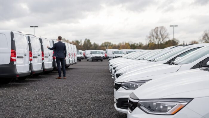 Rows of wholesale fleet vehicles at an auction lot being inspected for a small business